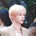 성한빈 <b>미스지</b> 콜렉션 런웨이 데뷔