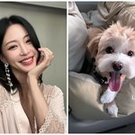[모두드루와] 한예슬, 10살 연하 남편 말고 또 다른 사랑 등장...