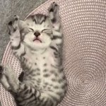 <b>항복</b>이다 <b>항복</b>