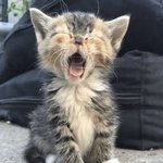 나 지금 되게 <b>신나</b>