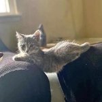 <b>유연</b>한 몸매 그리고