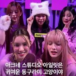 [모두드루와] 아일릿은 늊에서 미야오로 <b>노선</b> 변경한거야?