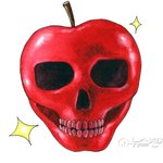 교리비교 28. 창 2장의 선악과