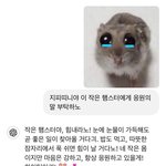 여고가면 원래 <b>남미</b>새 됨?