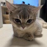 바로 <b>우매</b>하고 몽충해보이는