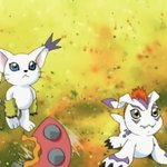 [댓글부탁해] 너네 특이한 취향있는 애들 있냐