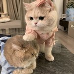 <b>분노</b>가 쉽사리 가시질 않네