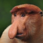 [하고싶은말] 몬생긴게