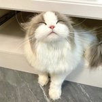 [<b>가스</b>내] 신난다! 재미난다!