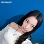 얼마전부터 누군가가 주기적으로 프나는 <b>전체</b>비주얼이 아니라고 하는데
