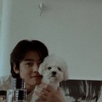 차은우랑 <b>강아지</b>