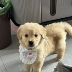 누구야!! <b>방구</b>뀐놈이?!
