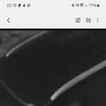 차에서 여성이 내린후 쓰레기 <b>투척</b>남