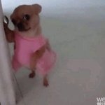 Infj <b>intj</b> 반반인데 질문 받음