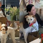 엄정화, 화려한 반려견 생일파티 당첨 “조촐하게 보내려했는데” 깜짝