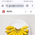 <b>응애</b>애