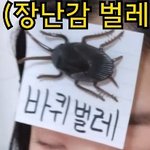 여자들은 왜 <b>바퀴</b>벌레를 싫어하나요??