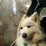 [방탄소년단] 달석 넘흐 <b>조아</b> 지챠ㅜㅜ