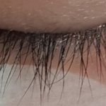 [댓글부탁해] 나 속눈썹 꽤 <b>길어</b>짐