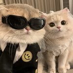 [상현아] 신난다! 재미난다!