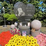 故최진실 16주기에도 묘소 찾은 팬들 "항상 그리워" [<b>N</b>현장]