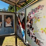 여전히 그리운 고 최진실과 최진영