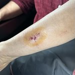 부산 버스 아동 폭행 노인 폭행 사건