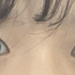 개눈인지 아닌지 확인<b>해조</b>ㅜㅜㅜㅠㅠㅜ