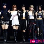 이러려고 대학축제 나갔나…르세라핌, 가창력 논란 정면돌파 '성공적'[TEN피플]