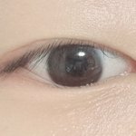 이거 <b>속쌍</b> 있는 거임? (눈사진주의)