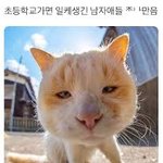 <b>밋밋</b>하고 못생긴남자들이 성괴들 쳐빠는거같지않냐