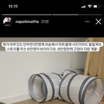 [19] 흑백요리사 <b>나폴리</b> 맛피아 이거 뭐냐