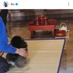 방탄 뷔 2년 전 <b>연탄이</b> 게시글에 댓글 달았네