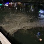 [부산] (극혐주의) 10/03 저녁 부산 <b>동천</b> 사진