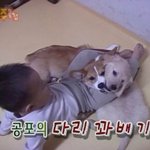 각자 자기 본진 개웃긴썰 하나씩 <b>풀자</b>