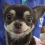 너네 학년 바뀌면 <b>무리</b>도 바뀜?