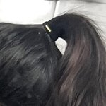 나 머리숱 어때<b>보임</b>?