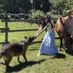 제니 이짤 <b>개귀</b>엽넼ㅋㅋㅋㅋㅋ