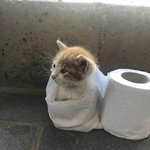 <b>저새끼</b>가 지금