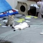 [덤벼] 다음은 니 <b>차례</b>야