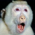 [19] 나 성형 시술 ㅈㄴ 함