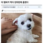 주변에 ㅈㄴ<b>팬픽</b>같은 일 봄