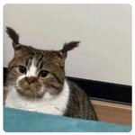 너네 학년 바뀌면 <b>무리</b>도 바뀜?