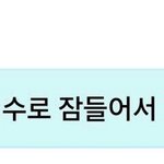 아이돌 콘서트는 1년에 <b>보통</b> 몇번함