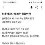[댓글부탁해] 입장료 <b>무료</b> 워터파크