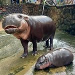 [드루와] 정신과약 <b>복용</b>하면 결혼힘듦?