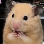 오줌 자주 싸는 남자일수록 <b>정력</b>에