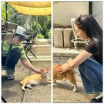 류이서, ‘전진과 고양이 놓고 사랑 싸움?’... “엉덩이 팡팡...