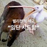 [댓글부탁해] 나만 서울 길거리 영상 보는거 좋아함??