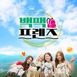 [댓글부탁해] 우주소녀 다영·여름X젠블루 씬·위엔, 소녀들의 여행기…'백팩...